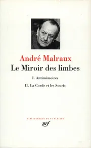 Le miroir des limbes