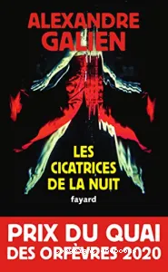 Les cicatrices de la nuit